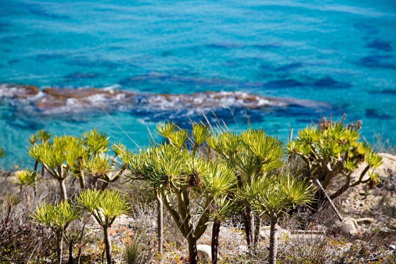 Calanuza Βίλα El Campello Εξωτερικό φωτογραφία